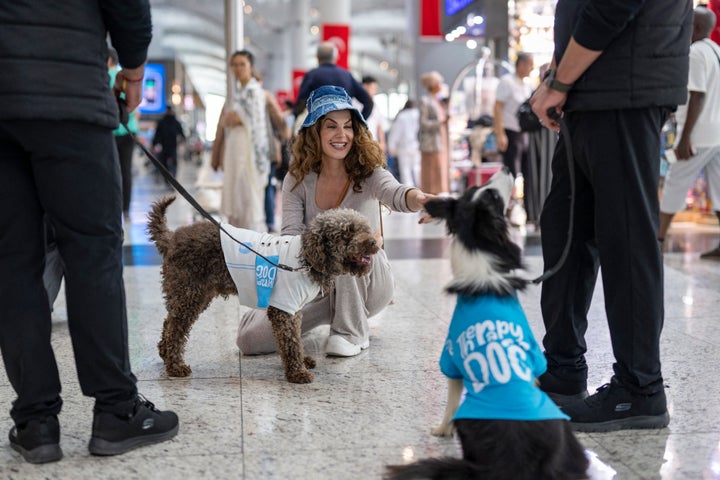 A traveler pets a therapy dog providing solace to stressed travelers before they board their flight at the Istanbul Airport on May 3, 2024.